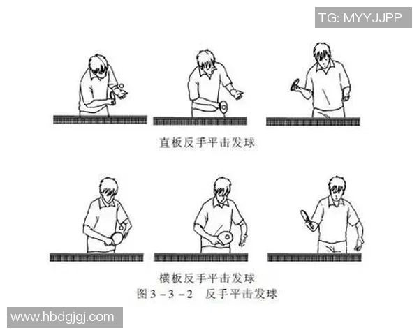 南京乒乓球队技术领先最新乒乓球技术TOP10全面解析