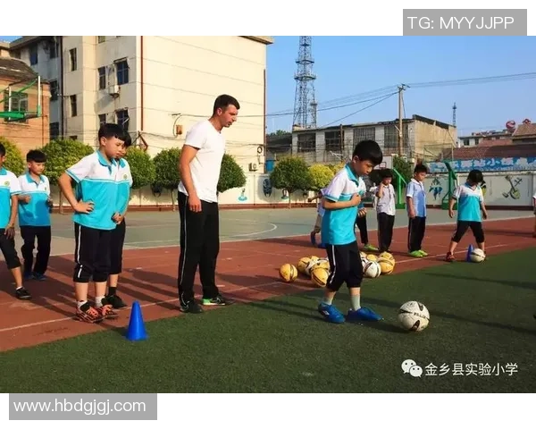 苍南金乡足球明星盘点及其在足球界的影响力分析