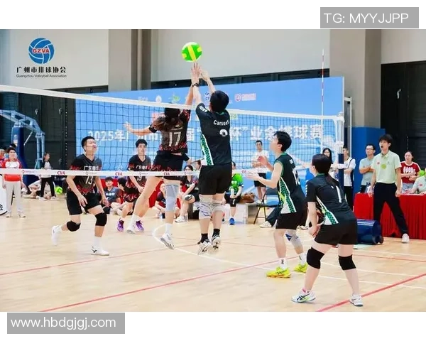 广州排球队在排球状态排行榜中荣获第五名展现强劲实力与潜力
