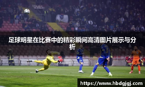 bsports体育
